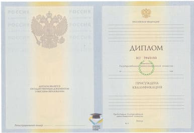 Диплом ПССИ 2010-2011 годов